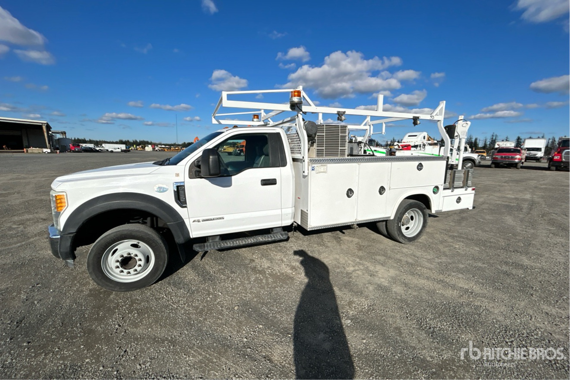 General Appearance with Spin