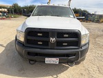 General Appearance with Exterior Lights