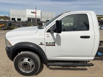 General Appearance with Paint