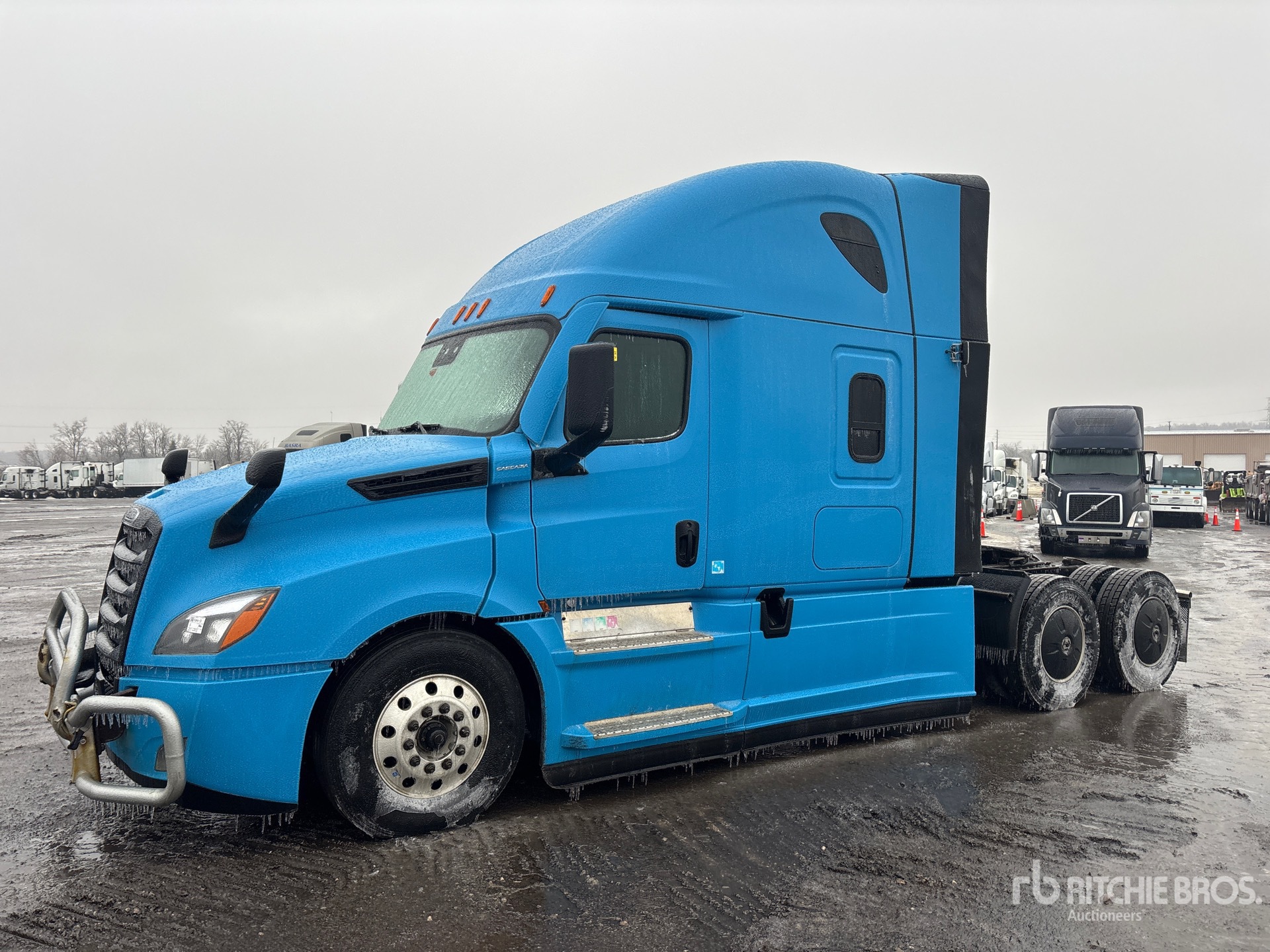 General Appearance with Spin