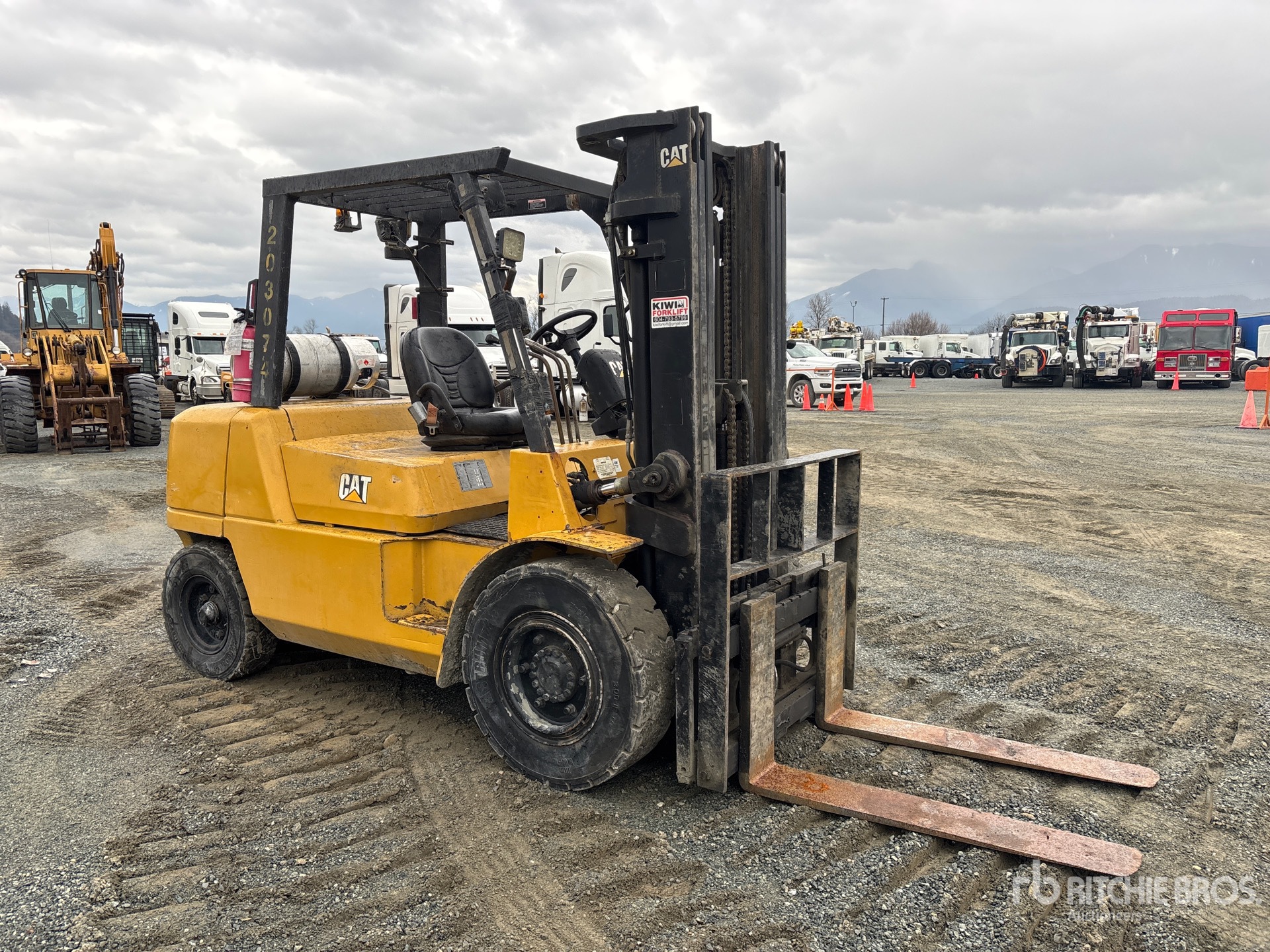 General Appearance with