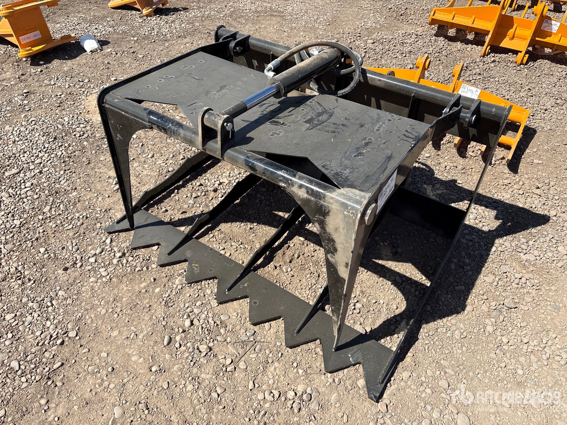 General Appearance with Foto, angolo anteriore sinistro