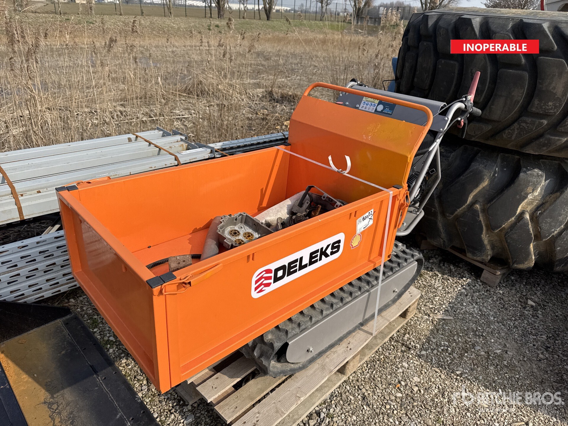 General Appearance with Featured Photo