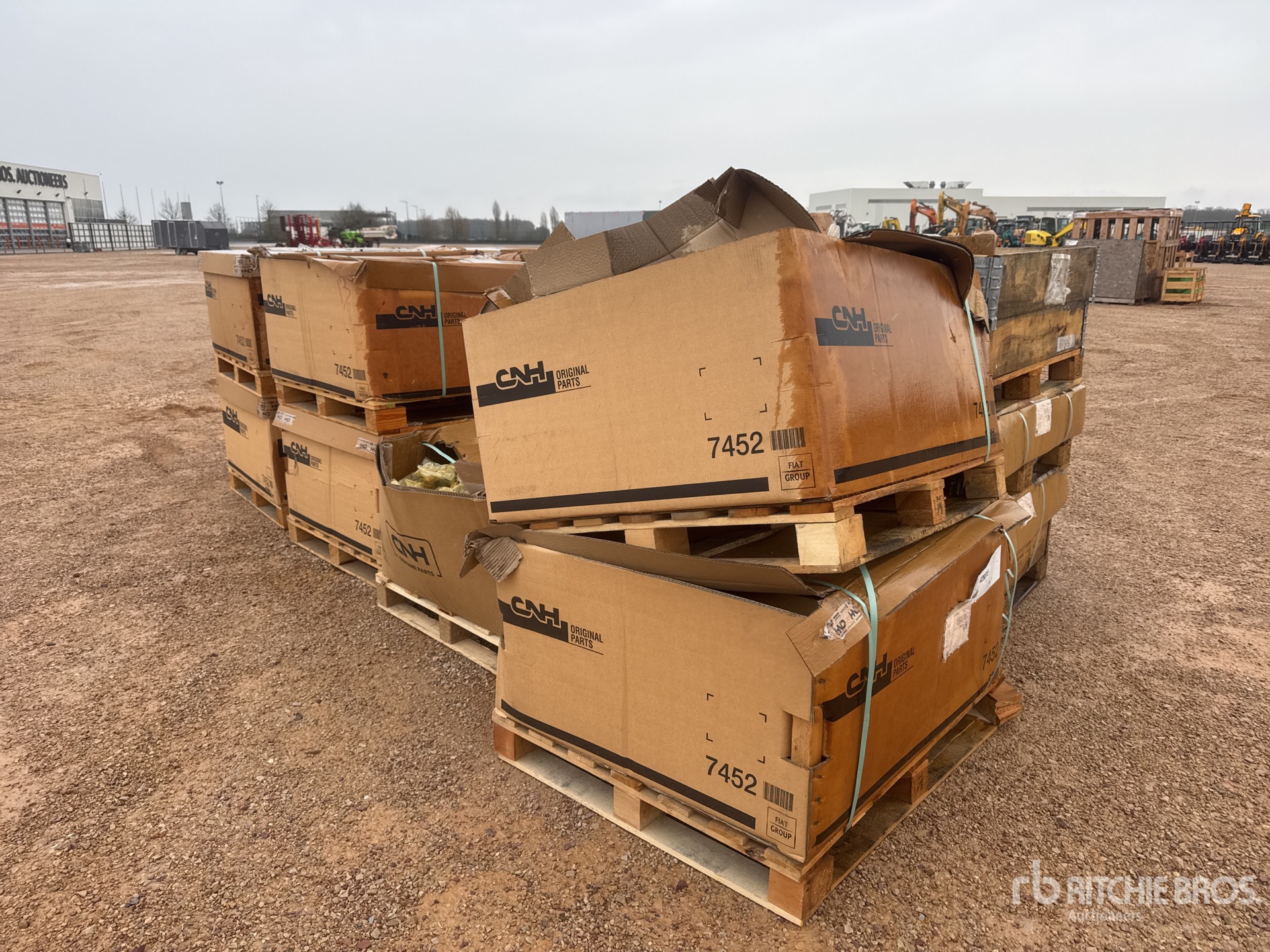 General Appearance with