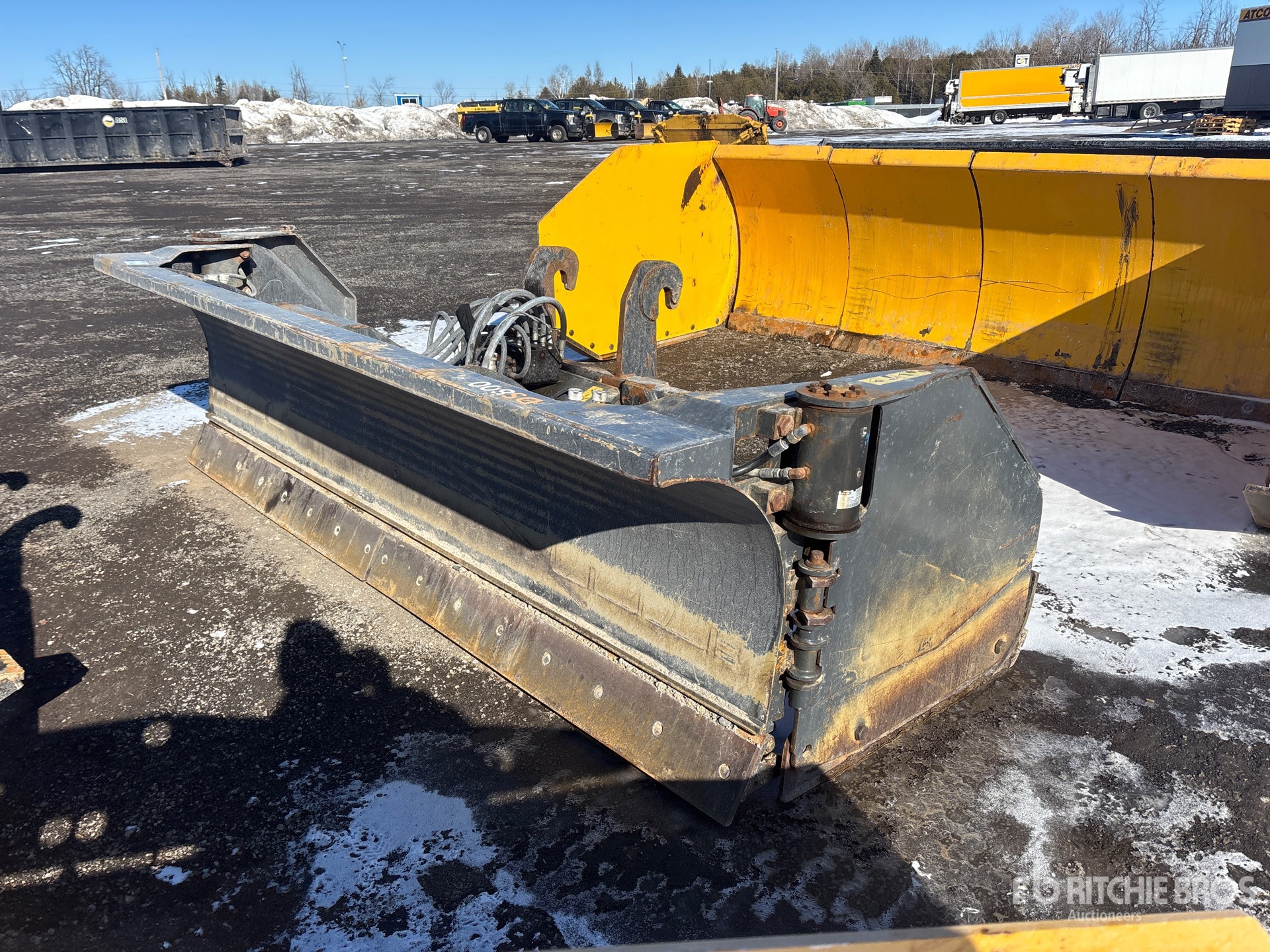 General Appearance with Bild, Ecke vorne links