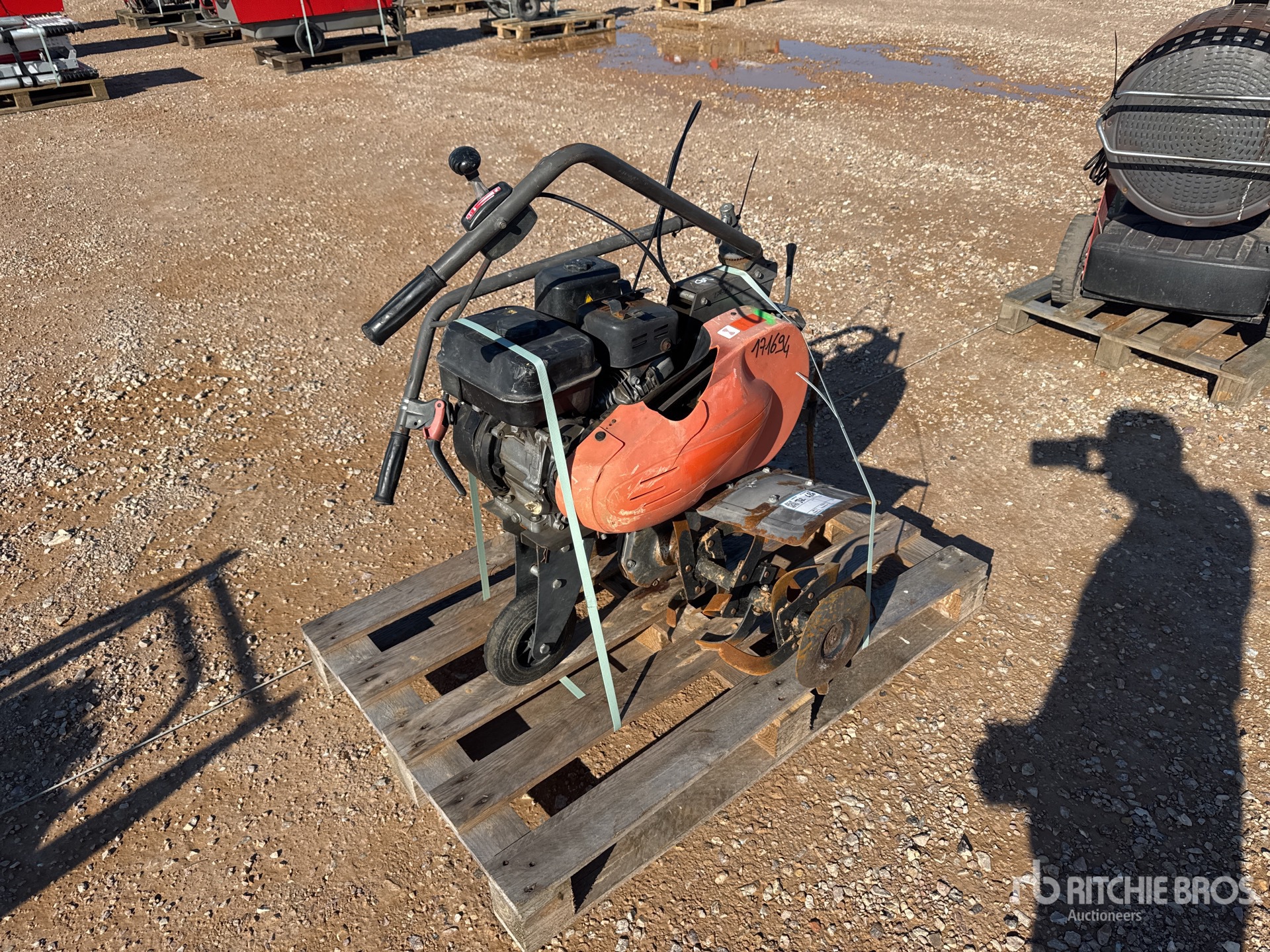 General Appearance with