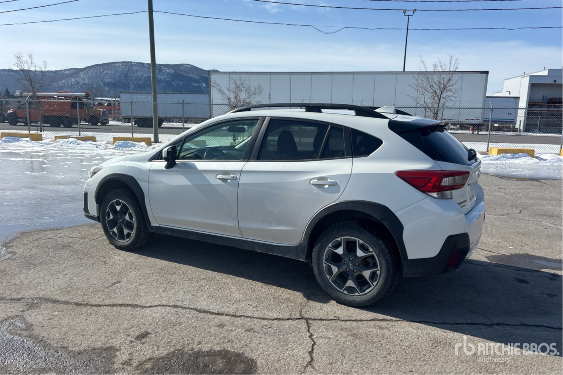 General Appearance with Zdjęcie, lewy dolny róg