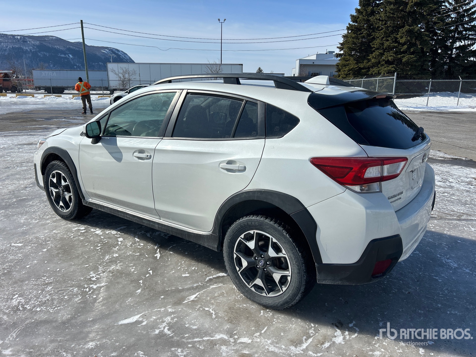 General Appearance with Zdjęcie, lewy dolny róg