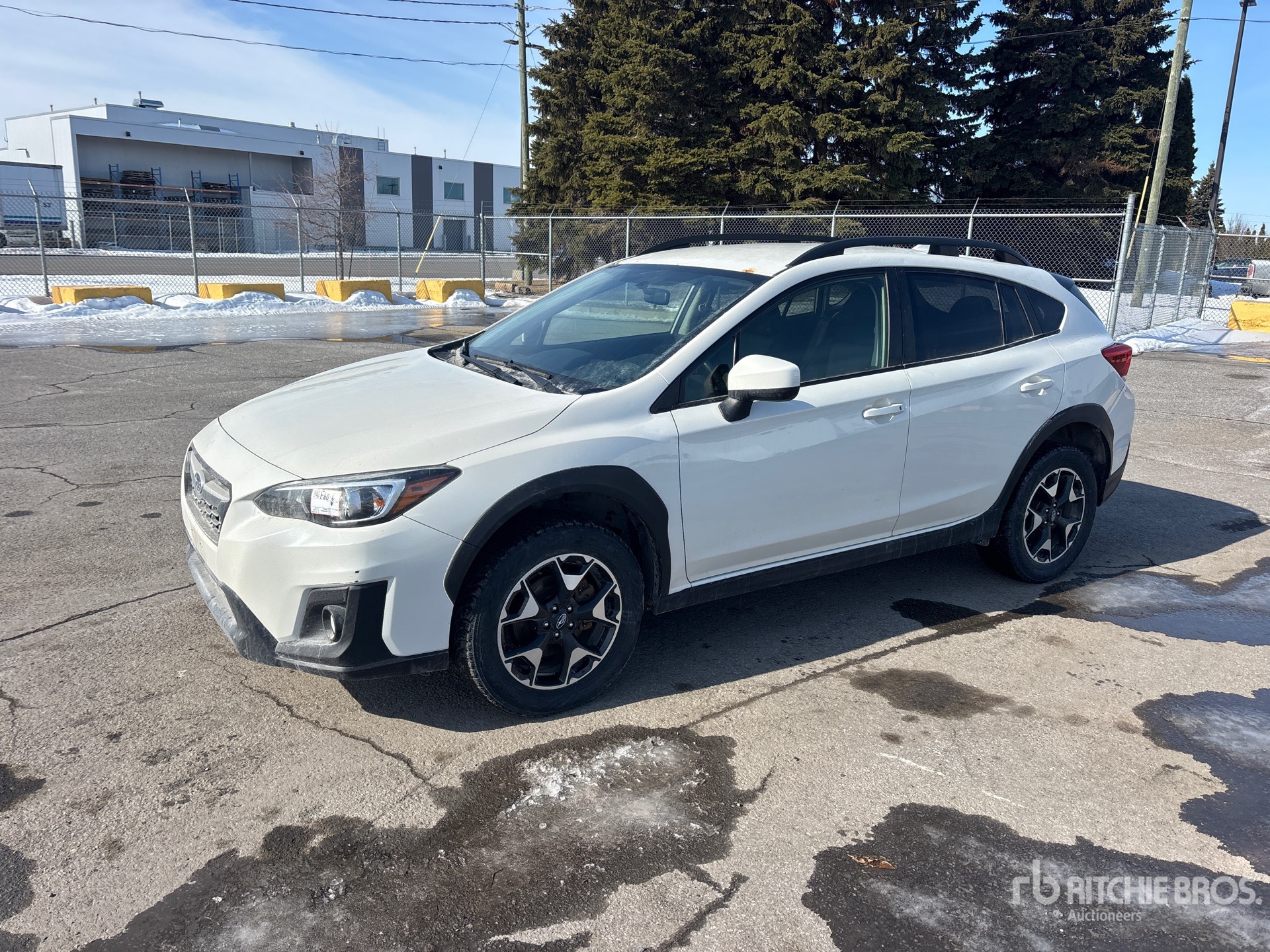 General Appearance with Spin