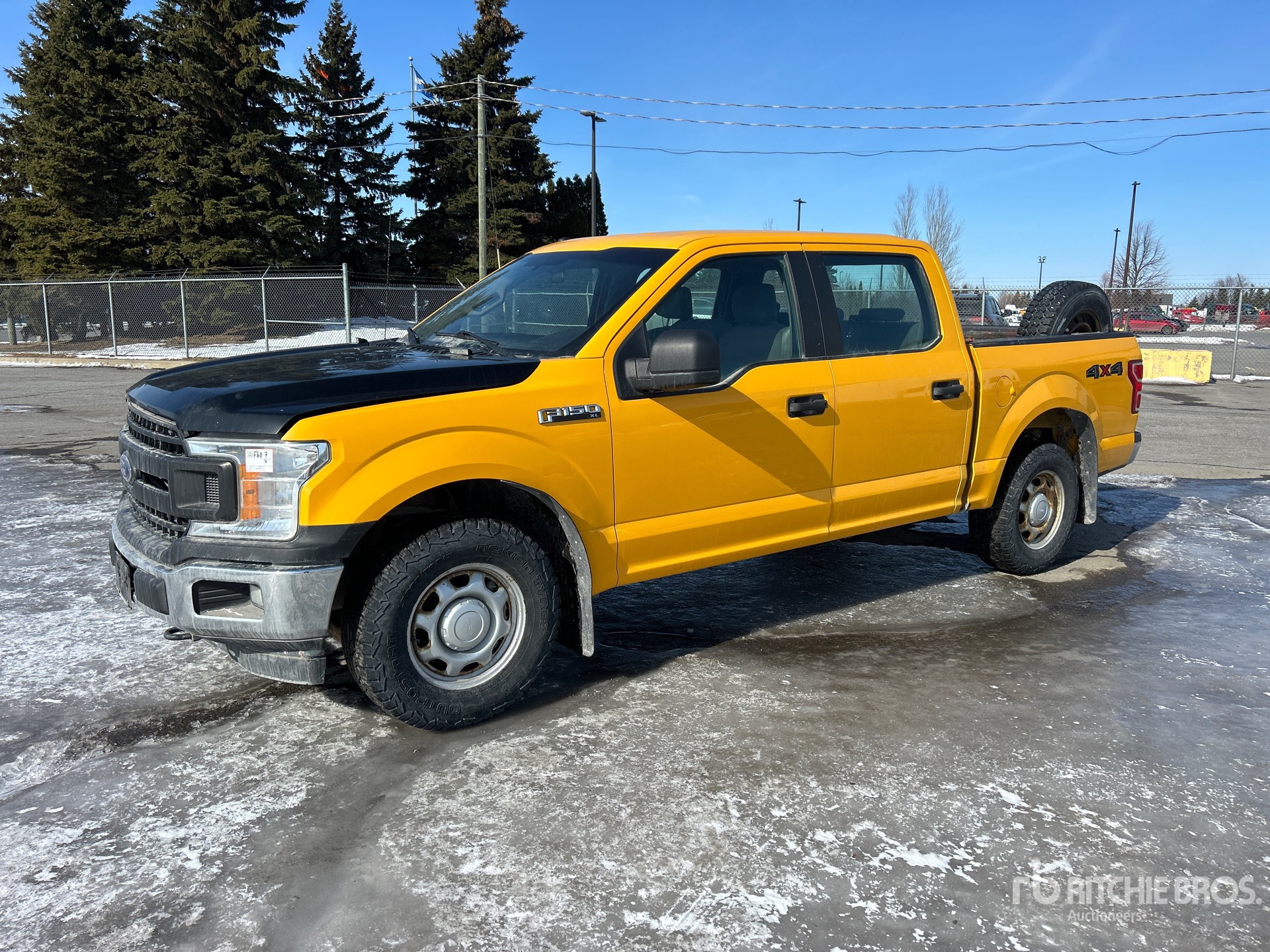 General Appearance with Spin