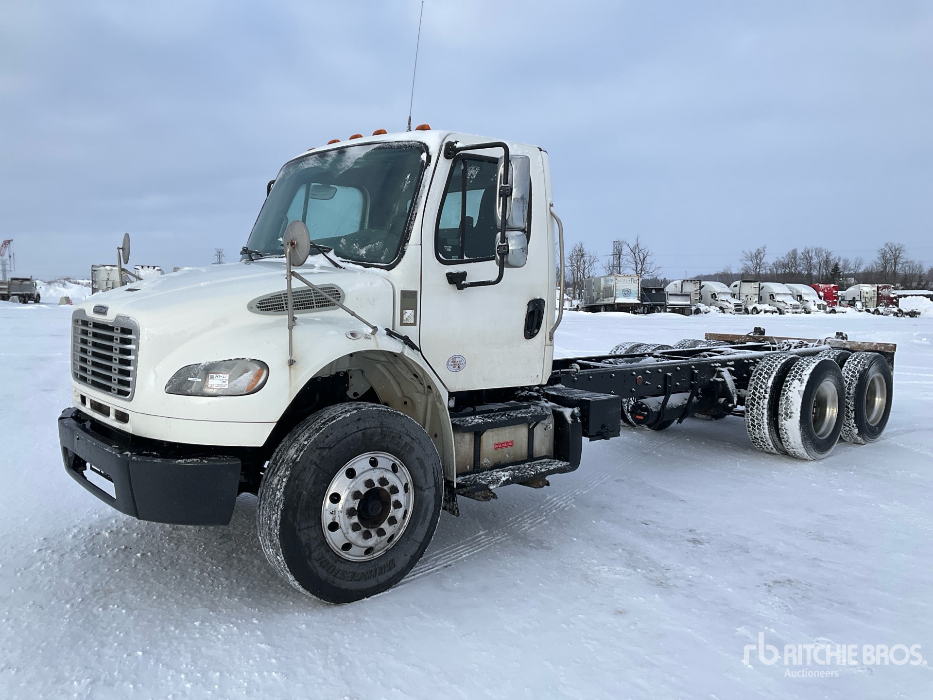 General Appearance with Zdjęcie, lewy górny róg