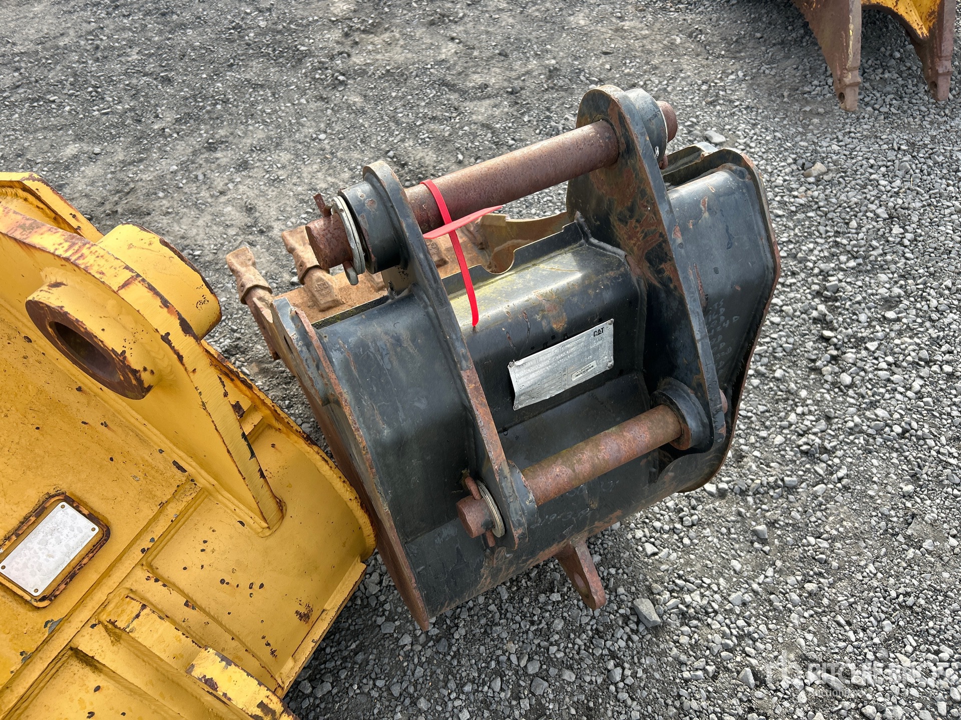 General Appearance with Zdjęcie, lewy dolny róg