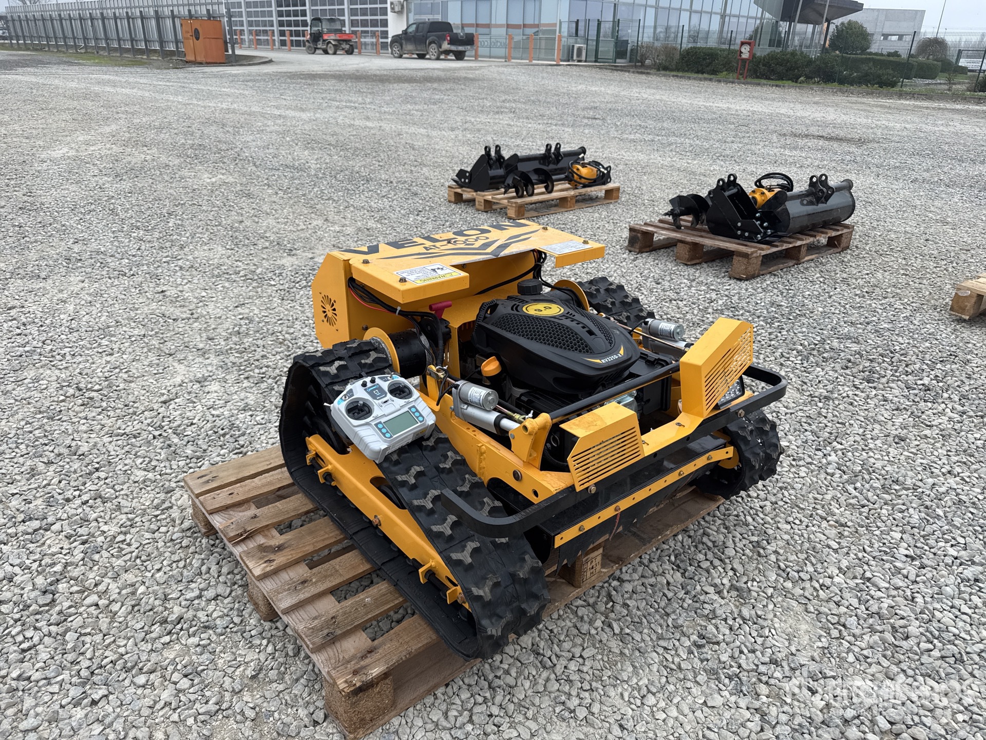 General Appearance with