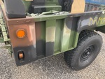 General Appearance with Paint