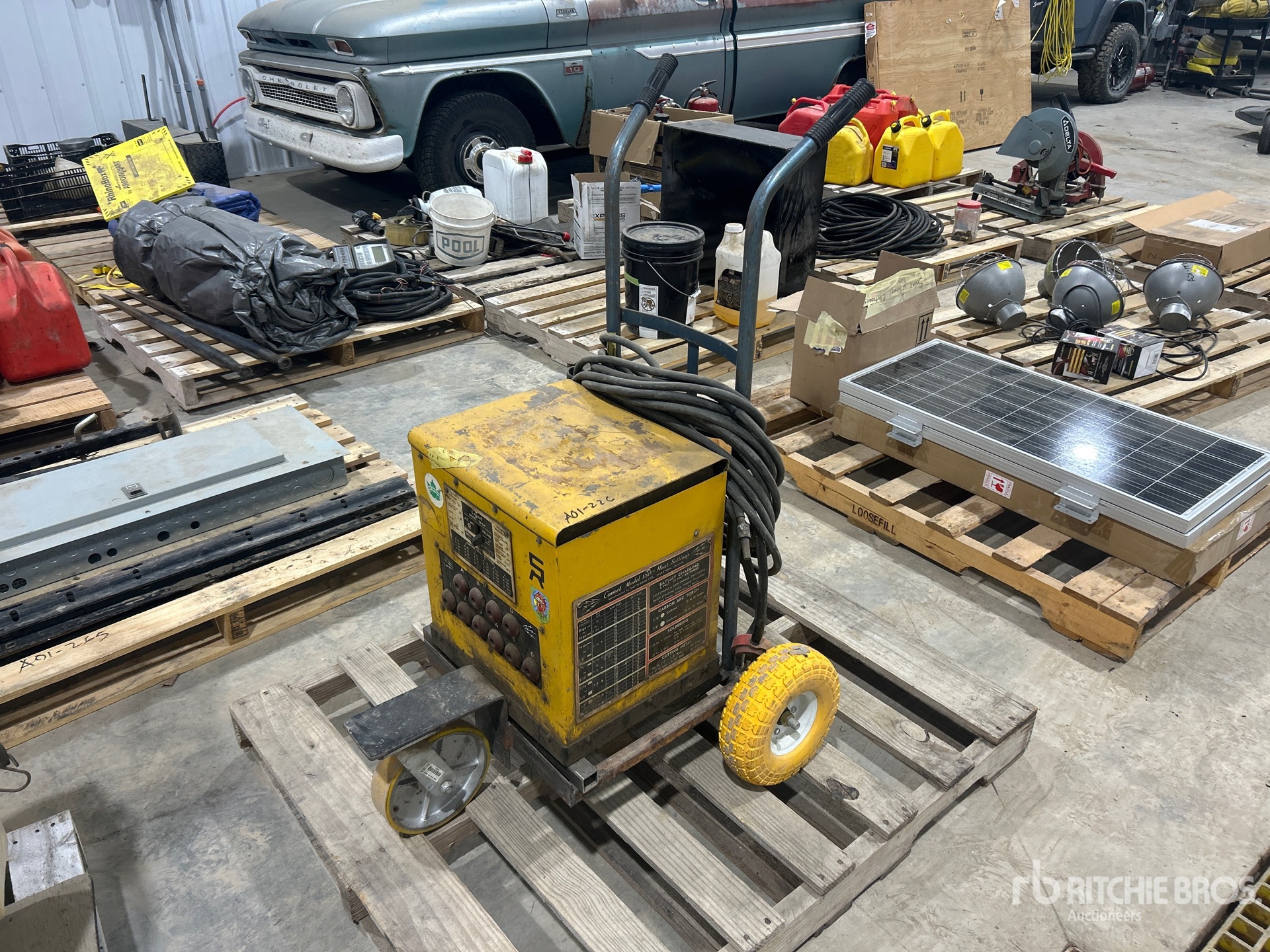 General Appearance with