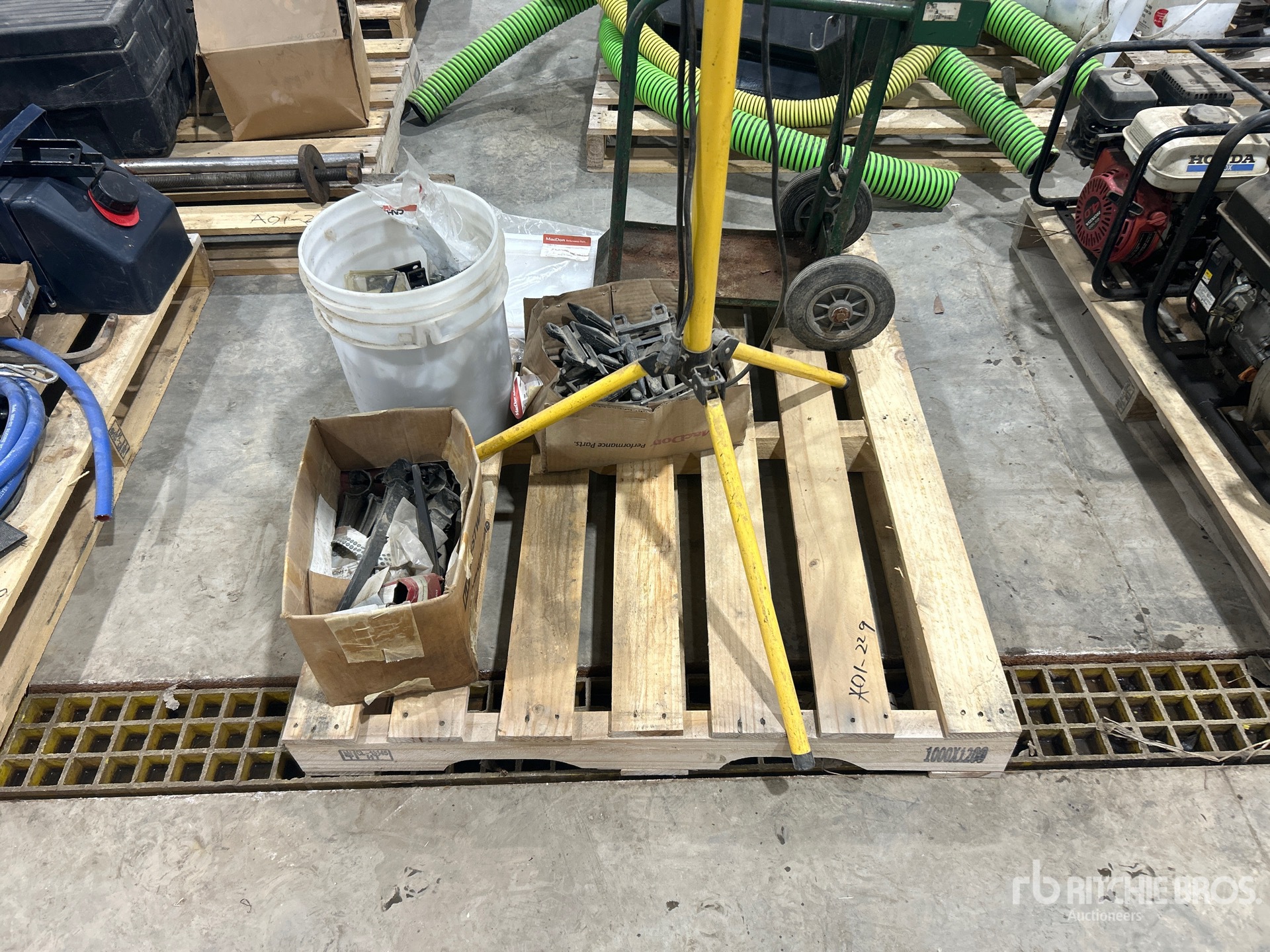 General Appearance with