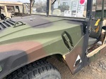 General Appearance with Paint