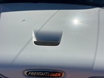 General Appearance with Paint