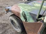 General Appearance with Paint