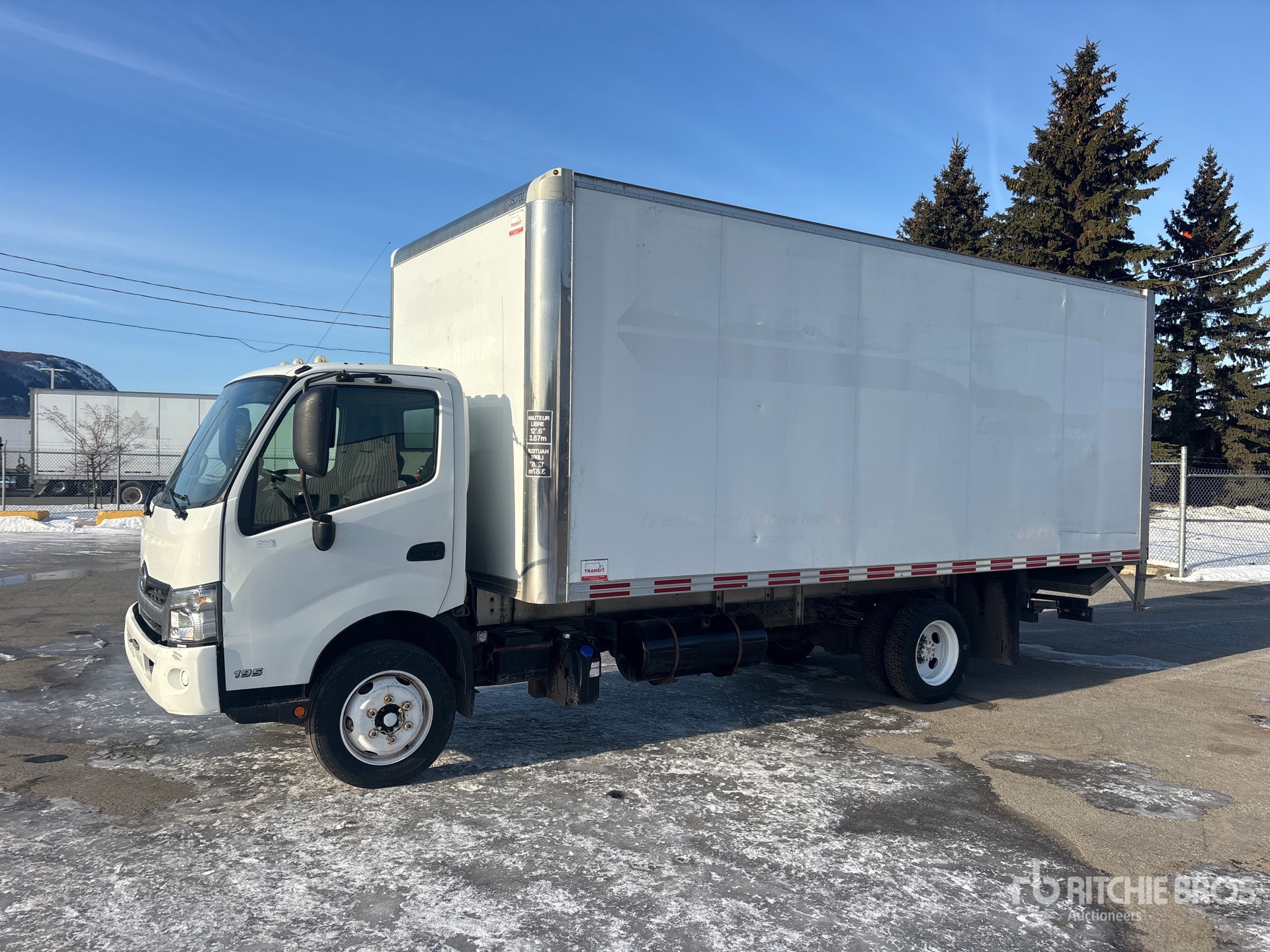 General Appearance with Spin