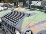 General Appearance with Paint