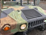 General Appearance with Paint