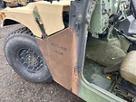 General Appearance with Paint