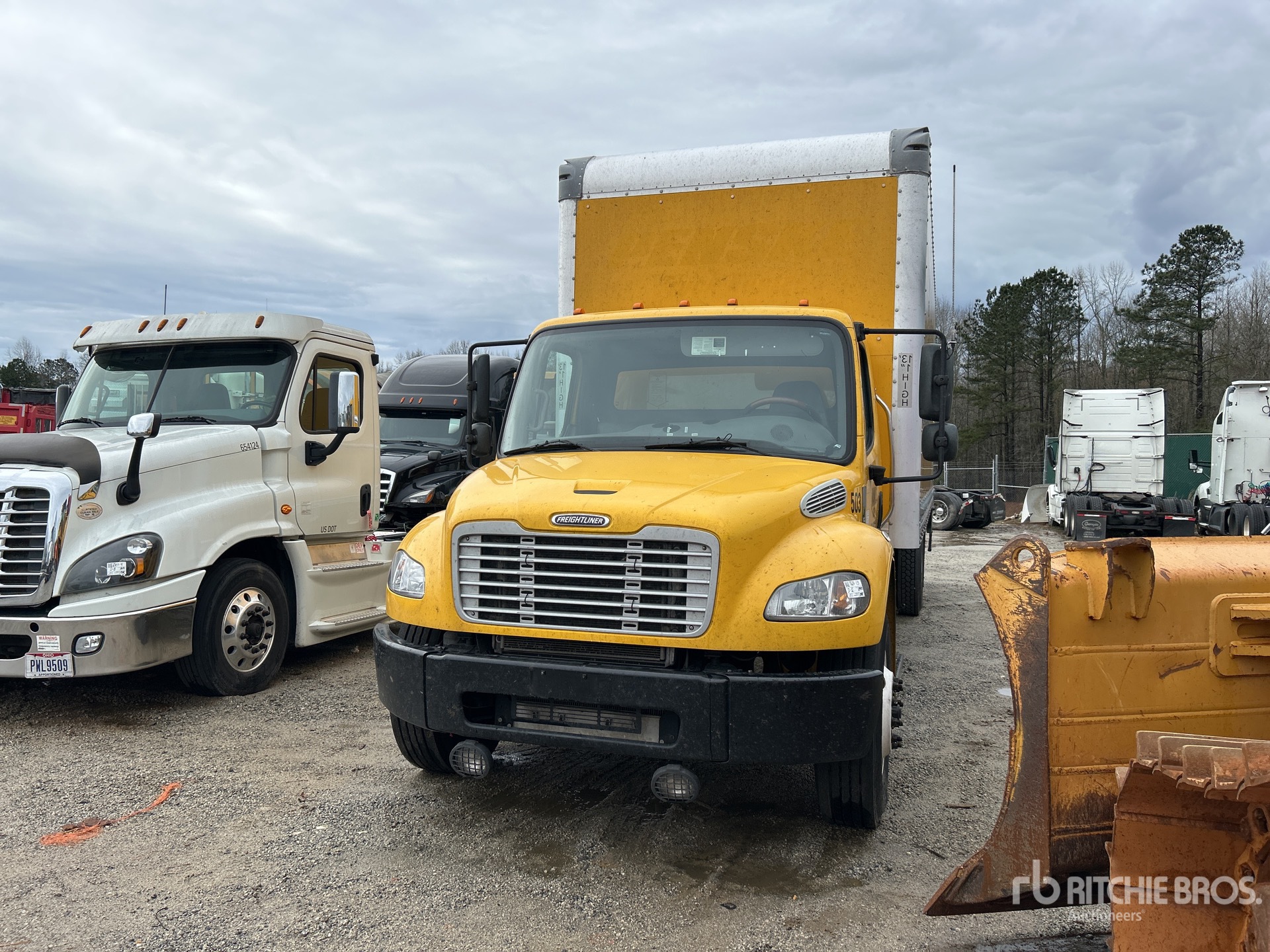 General Appearance with Bild, Ecke vorne links