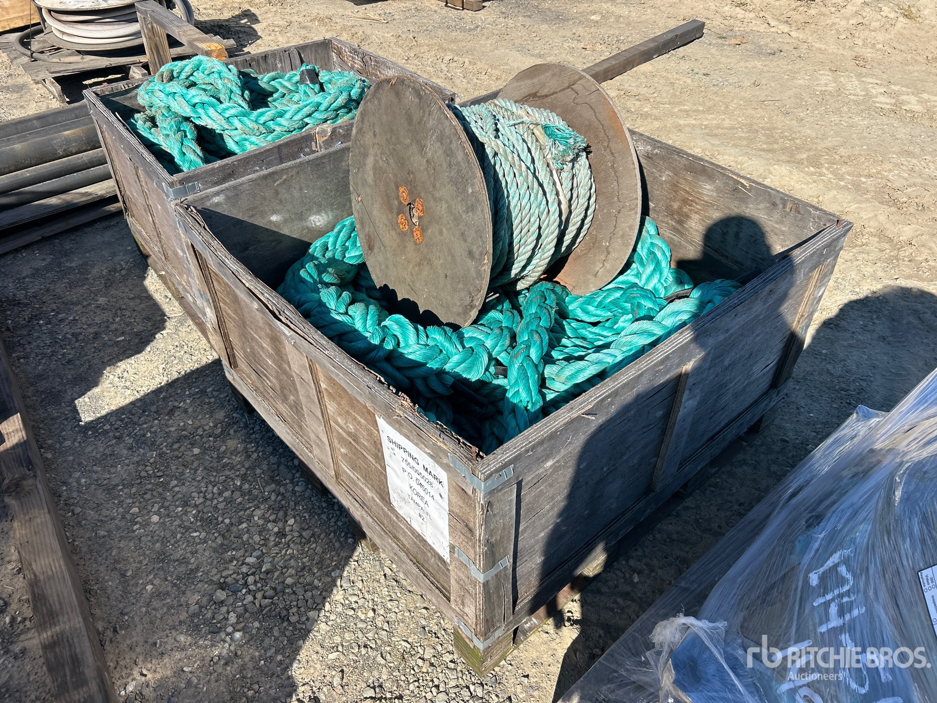 General Appearance with Bild, Ecke vorne links