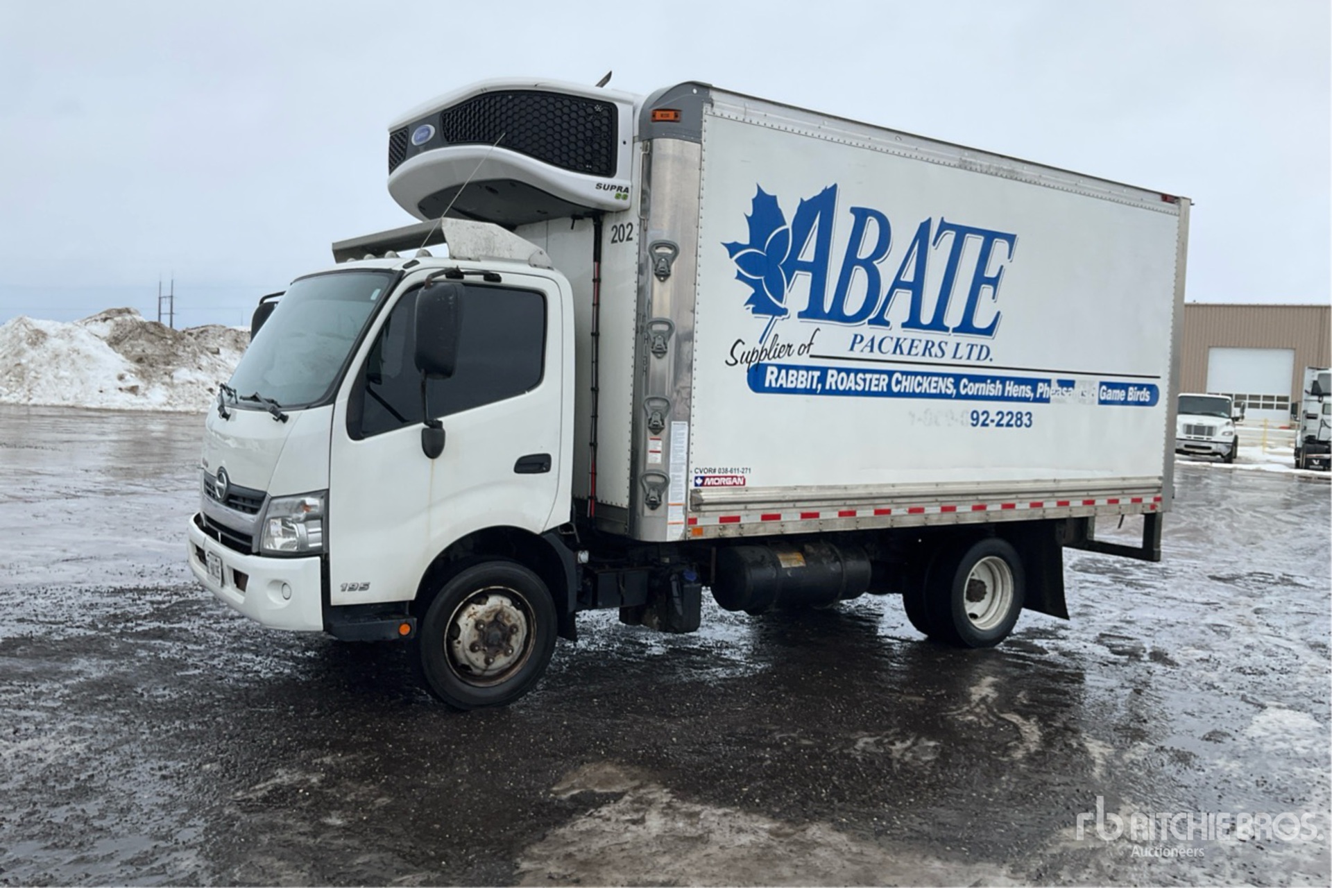 General Appearance with Foto, angolo anteriore sinistro