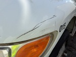 General Appearance with Pintura