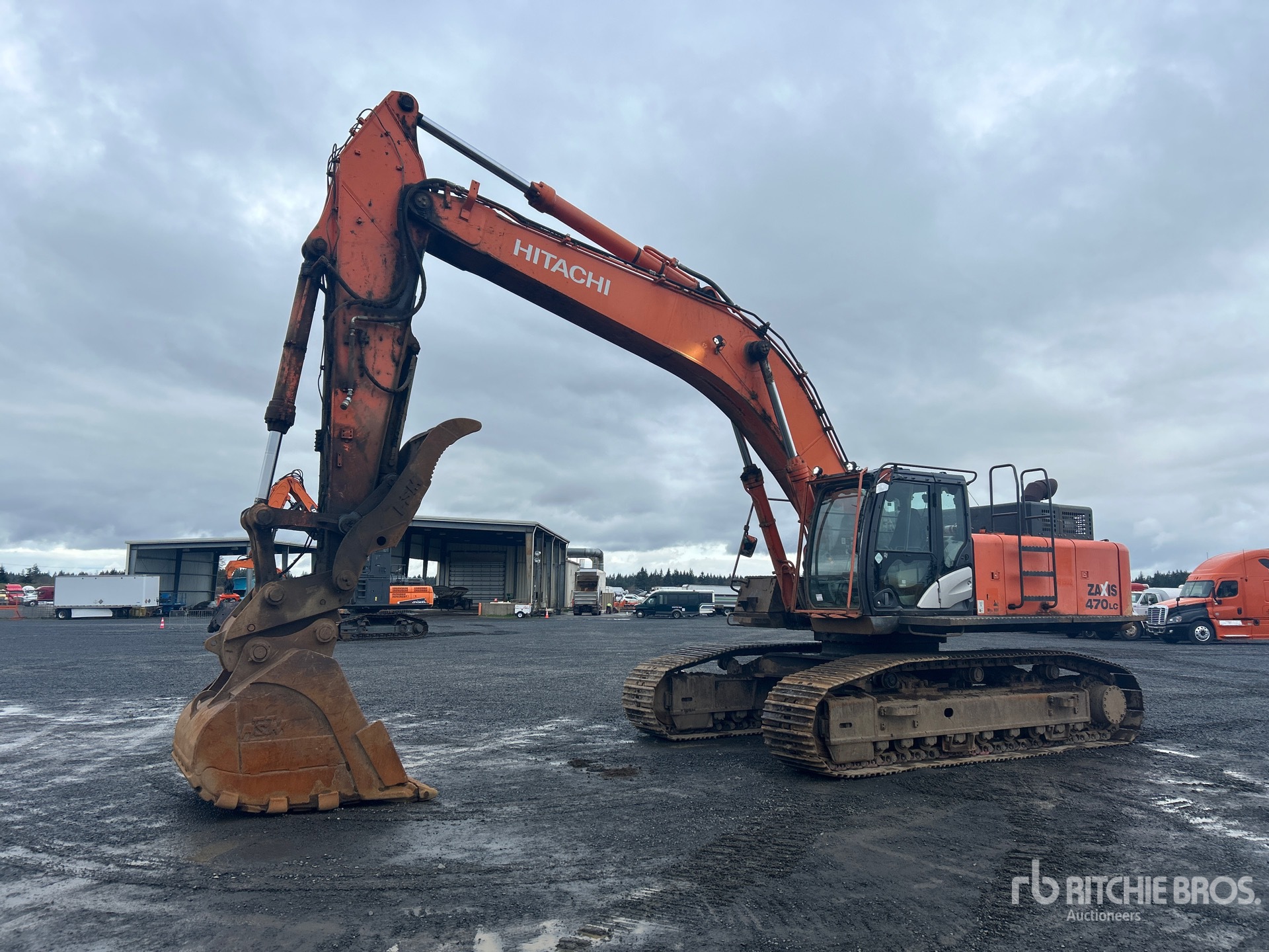 General Appearance with Spin