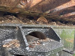 Undercarriage with Right Carrier Rollers