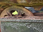 Undercarriage with Left Idler