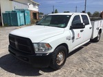 General Appearance with Pintura