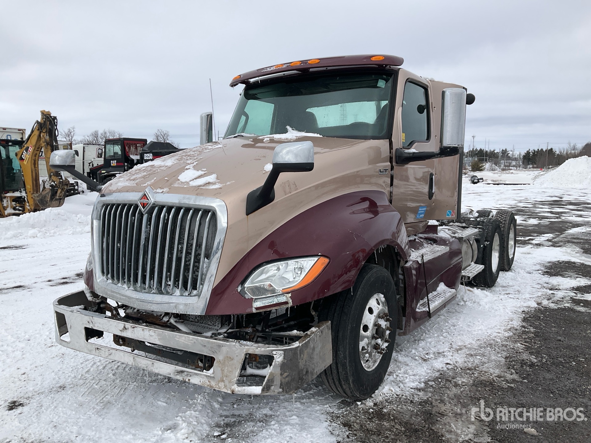 General Appearance with Spin