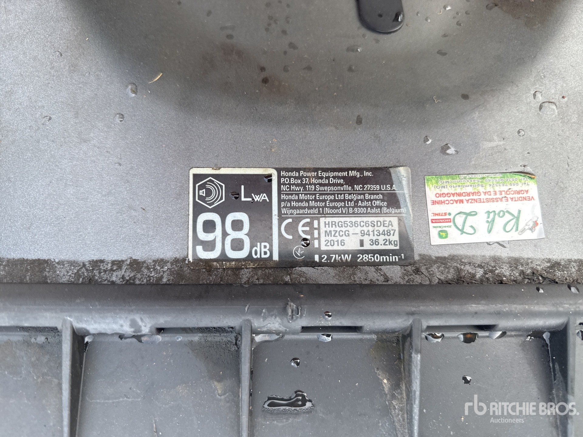 General Appearance with