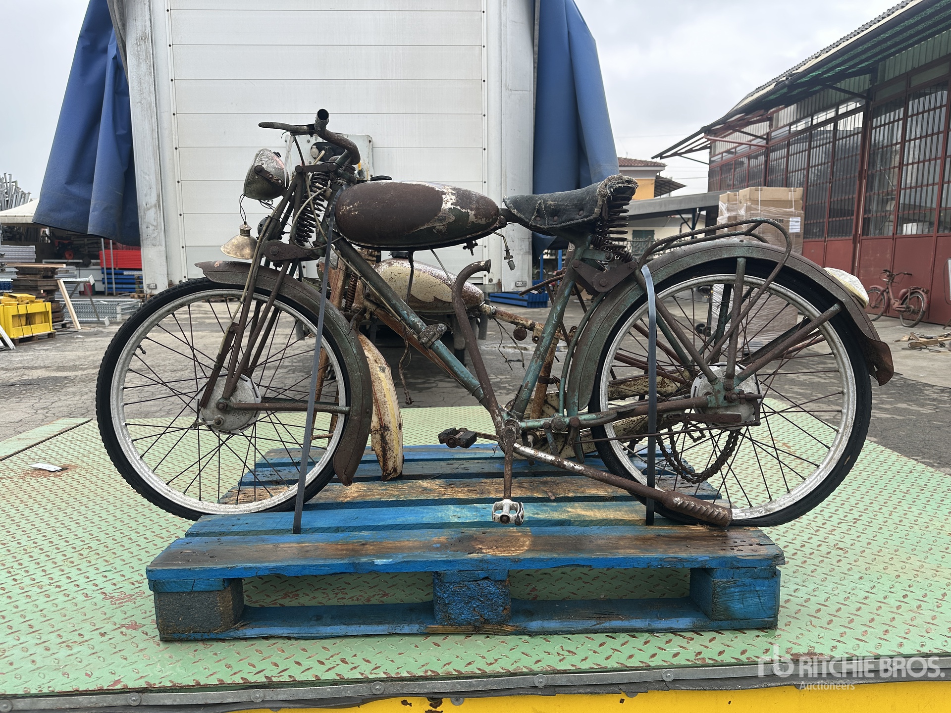 General Appearance with