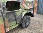 General Appearance with Paint