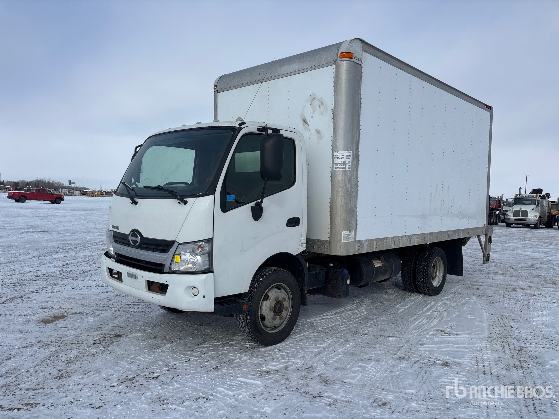 General Appearance with Spin