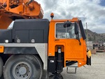 General Appearance with Paint