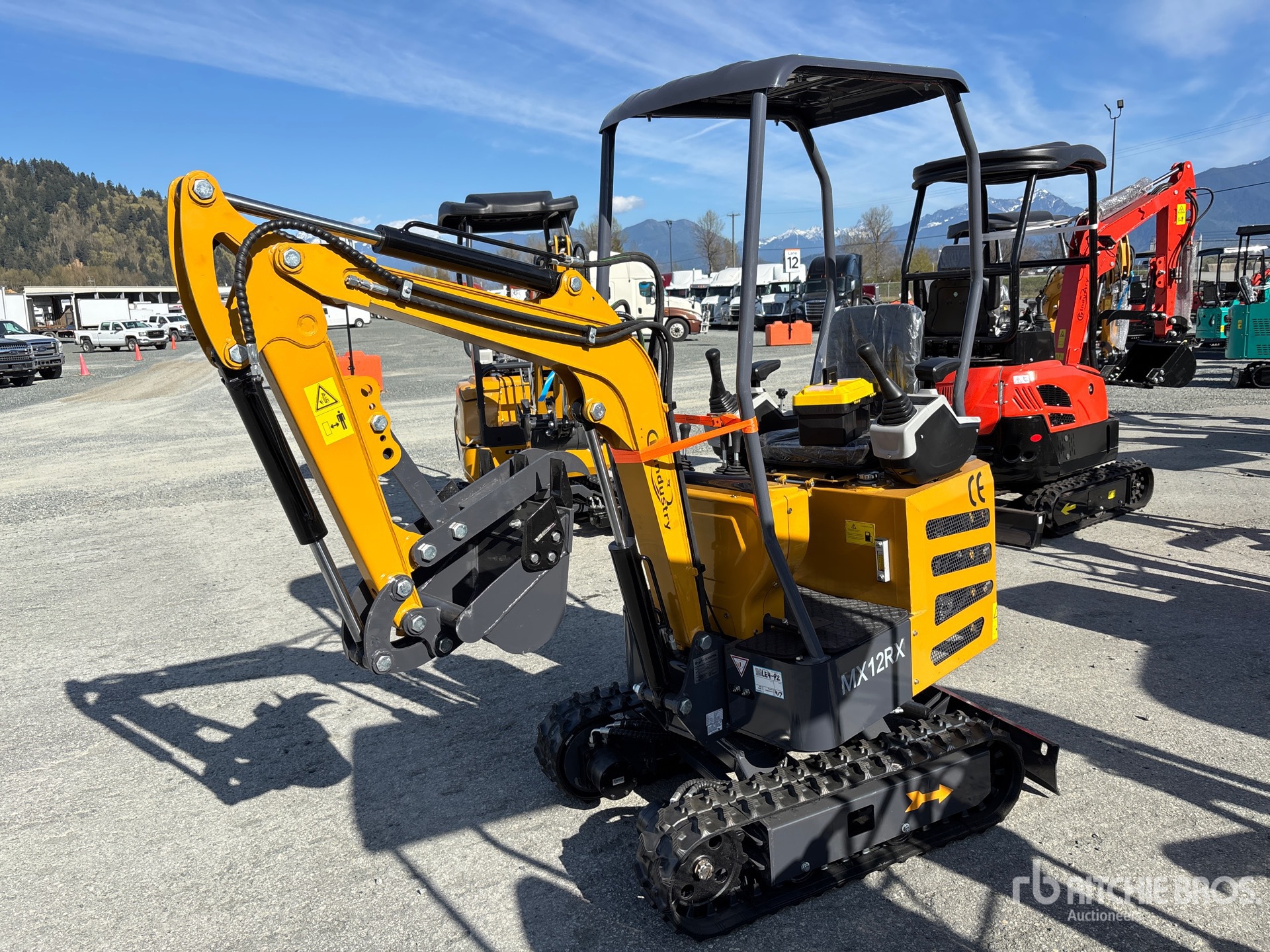 General Appearance with Picture, Left Front Corner