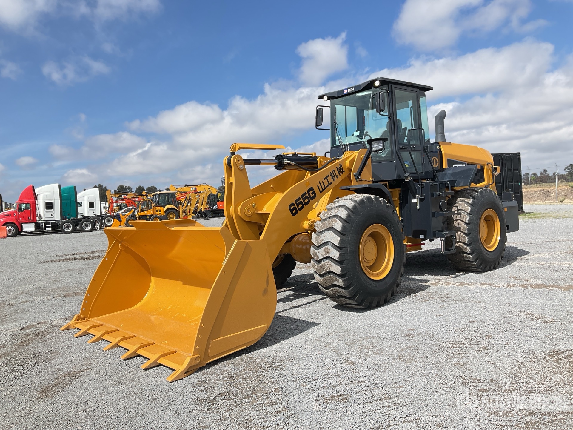 General Appearance with Spin