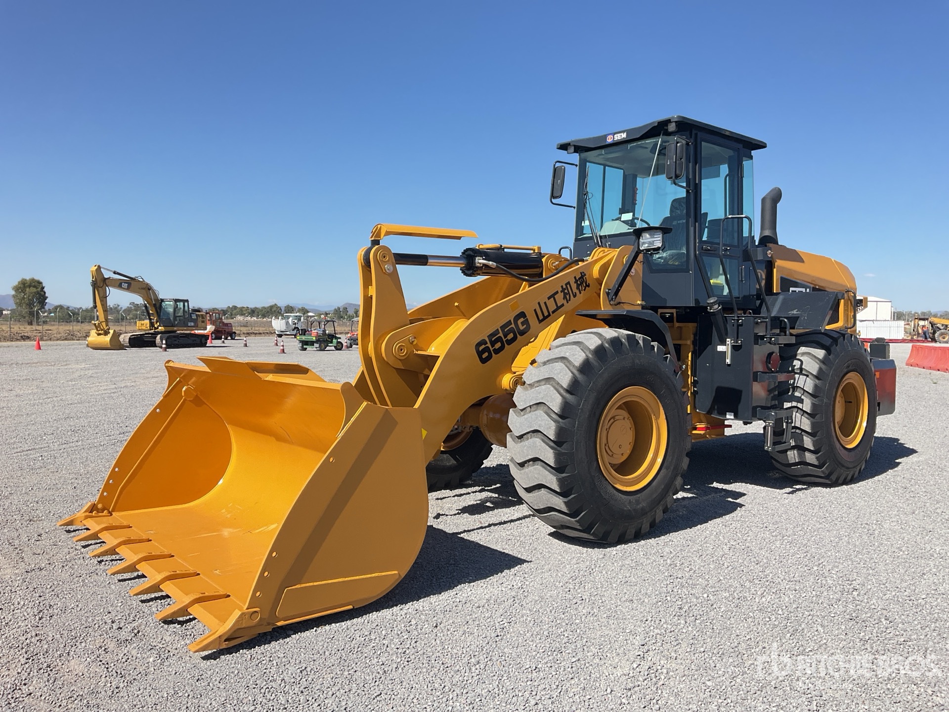 General Appearance with Spin