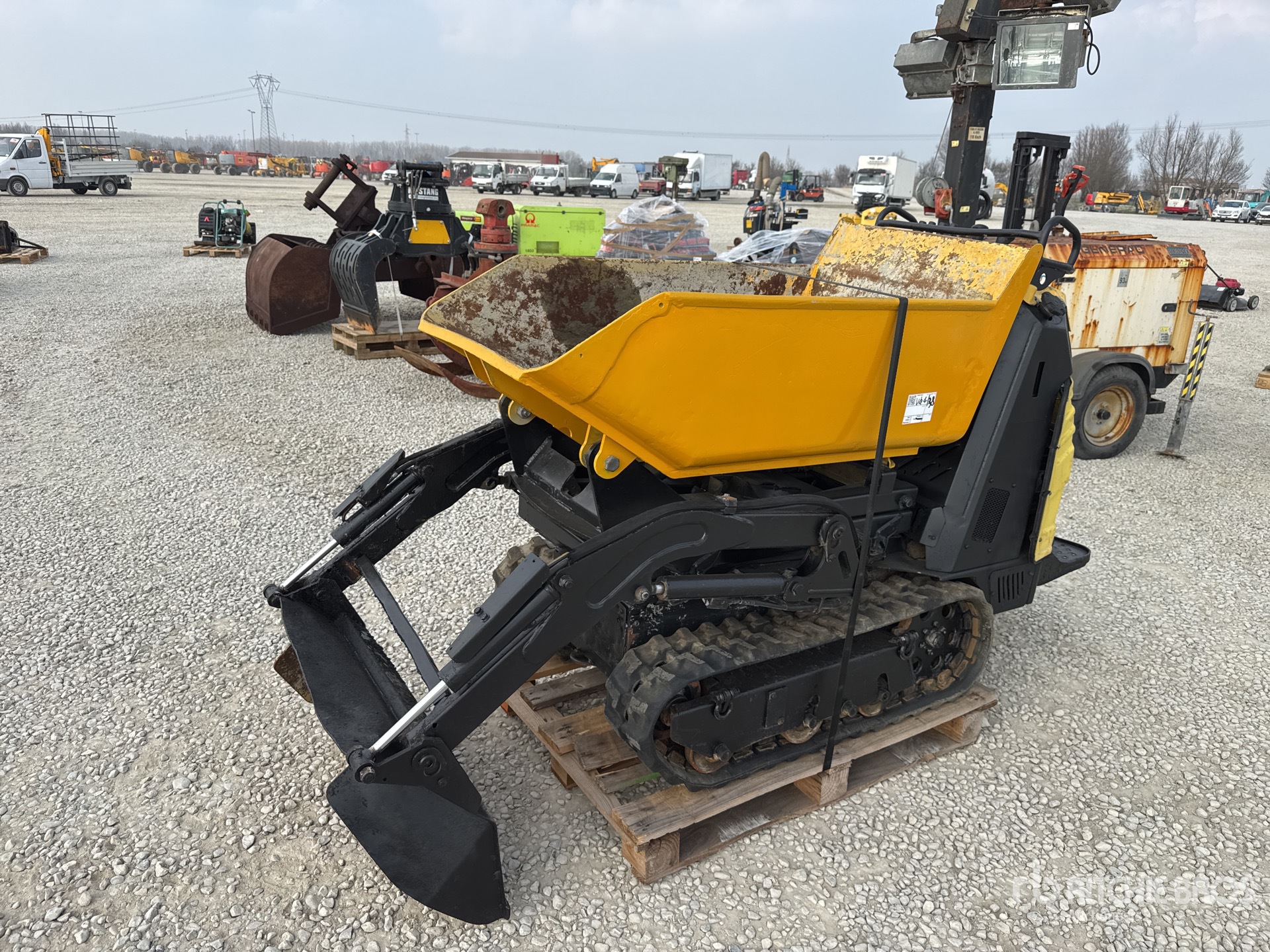 General Appearance with