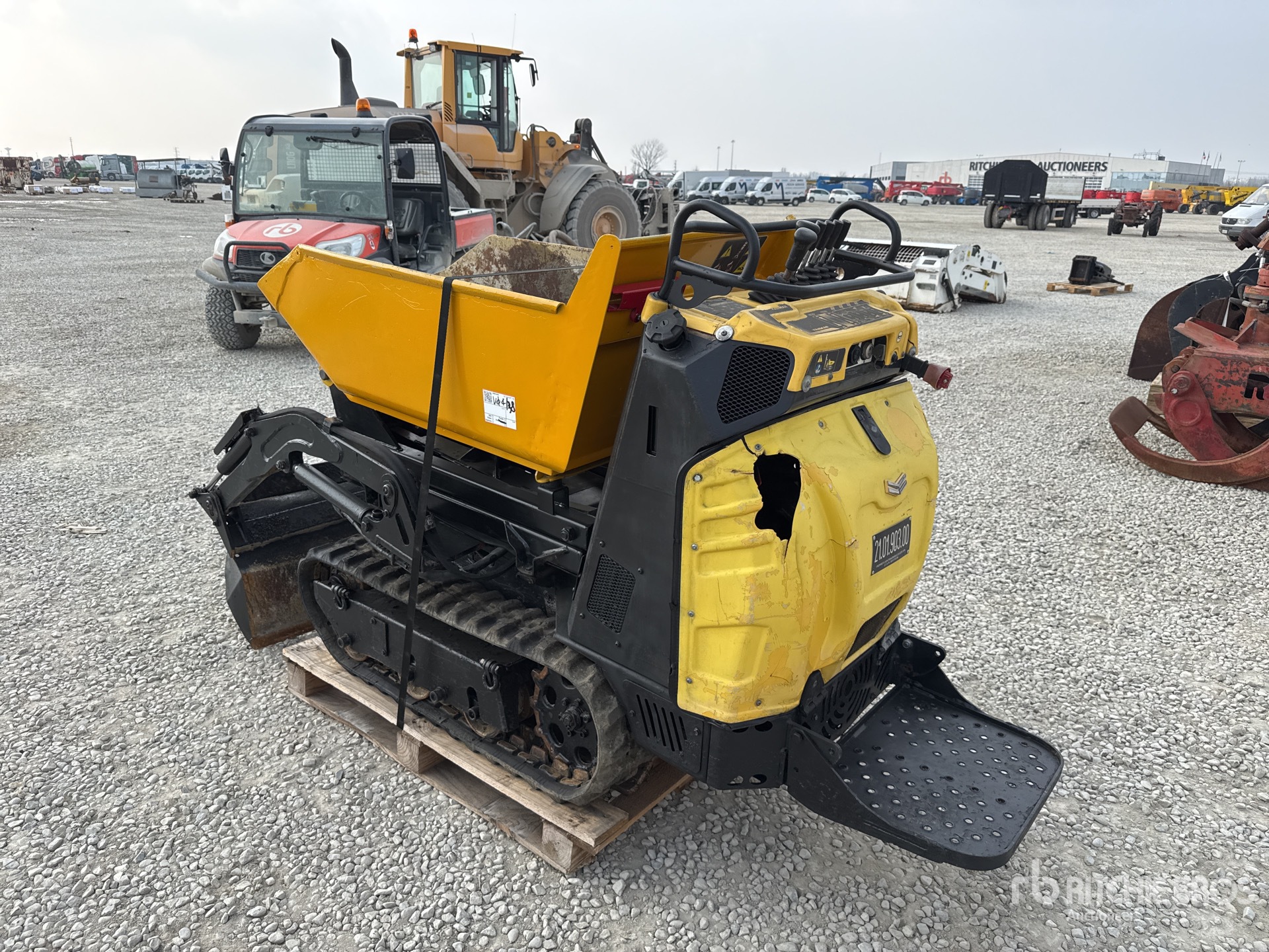 General Appearance with