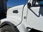 General Appearance with Pintura