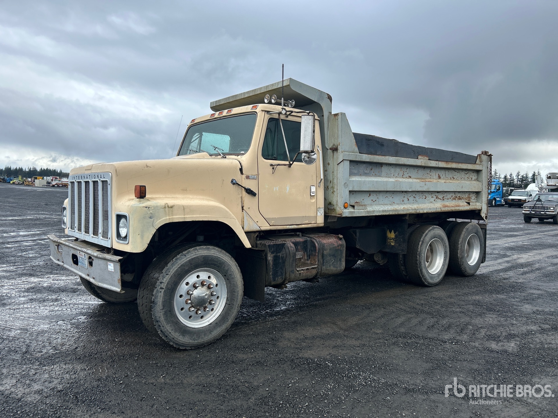 General Appearance with Spin