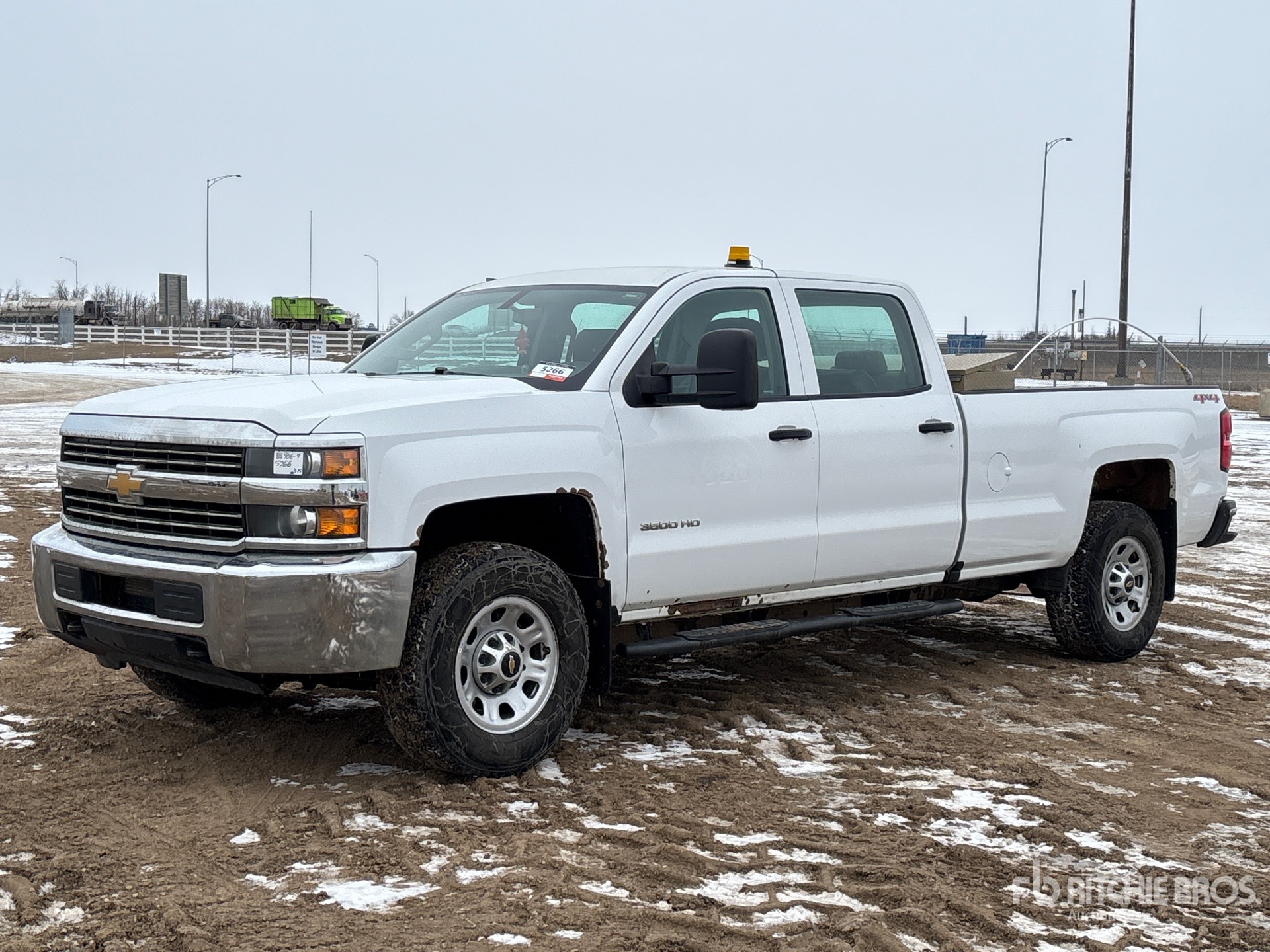 General Appearance with Spin