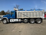 General Appearance with Paint